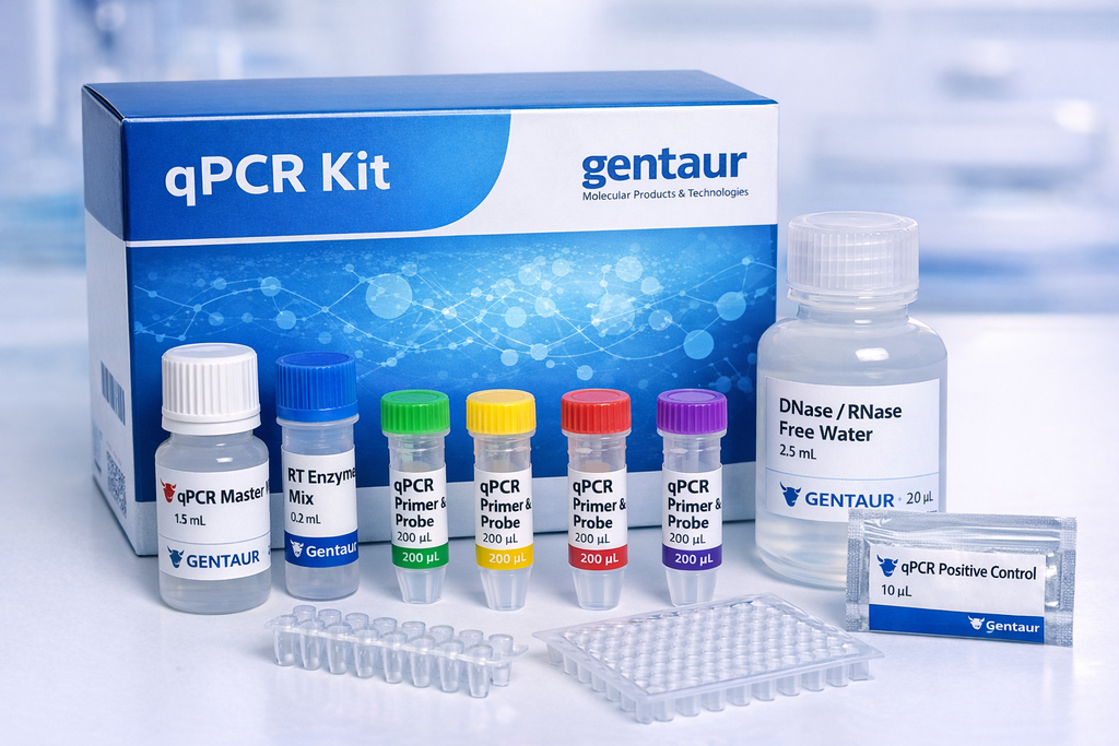 Detect Coxsackievirus A10  RT-qPCR kit
