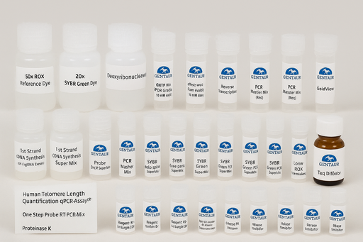 [sk-pcr611] Taq DNA Polymerase