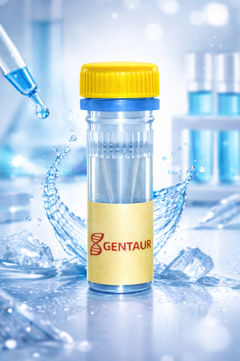 [SK2070] PCR Master Mix (With Dye)