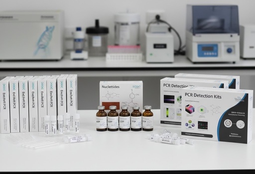 [EZ0020] DNase I Set, RNase-free